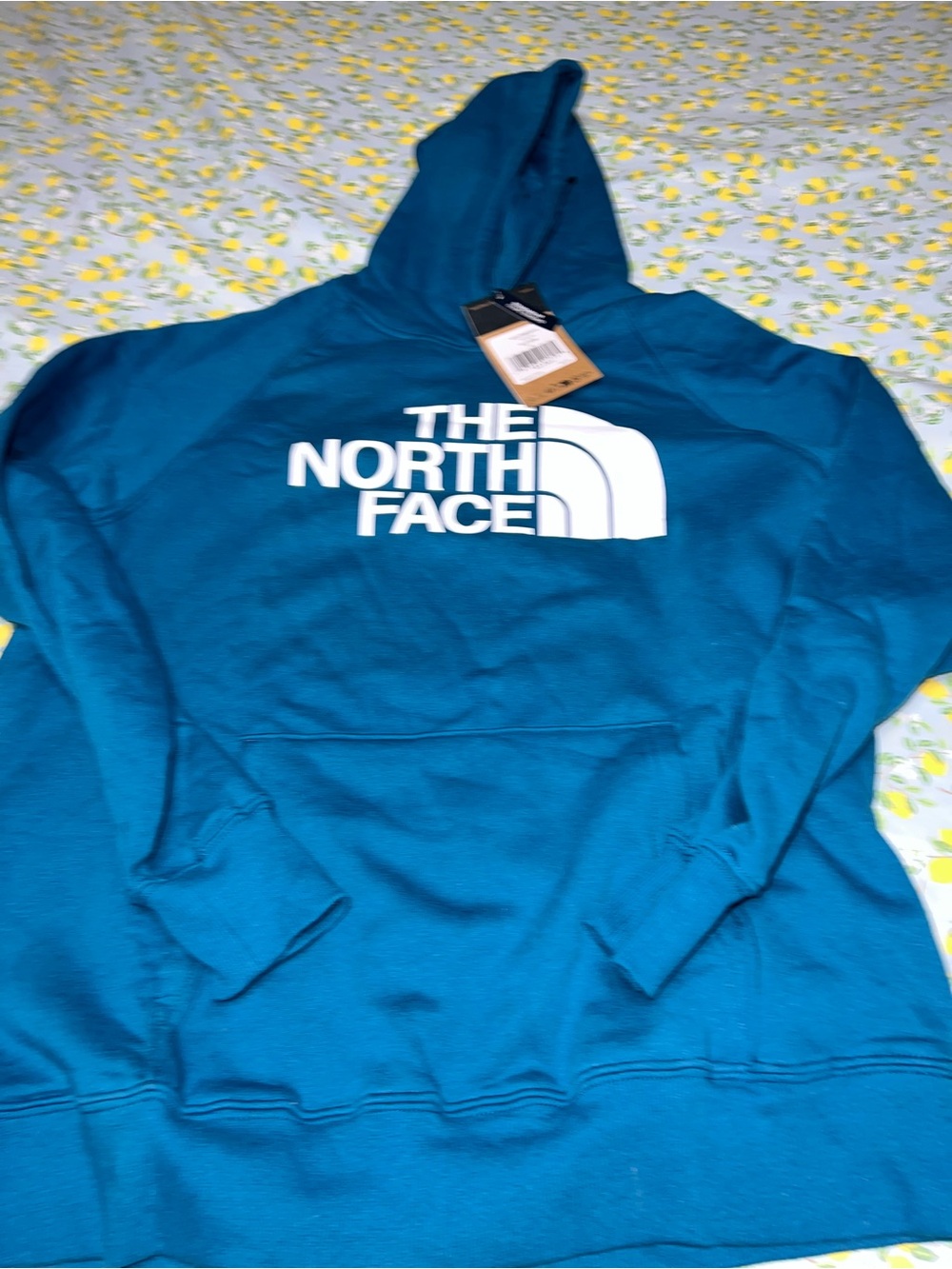The North Face Teal Pullover Hoodie with Logo